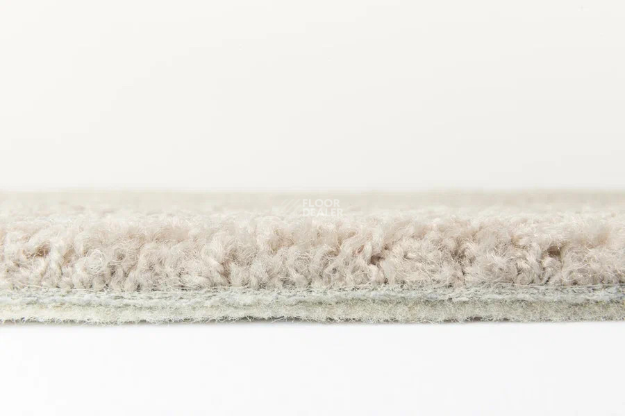 Vorwerk Superior 1065/Viola Vorwerk 8h49 фото 4 | FLOORDEALER